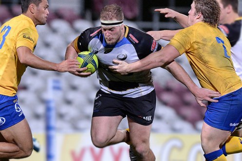 Hoskins Western Force